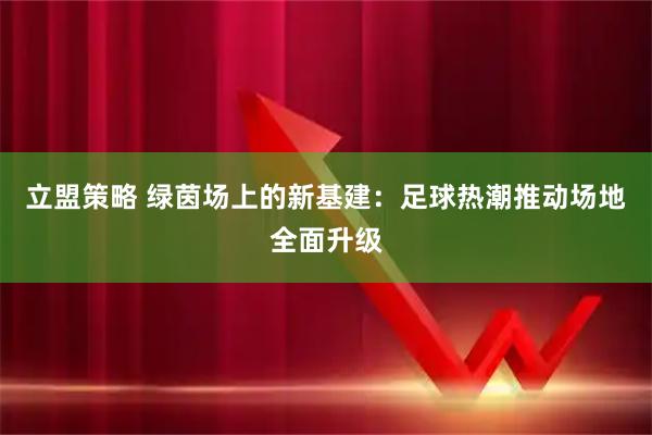 立盟策略 绿茵场上的新基建：足球热潮推动场地全面升级
