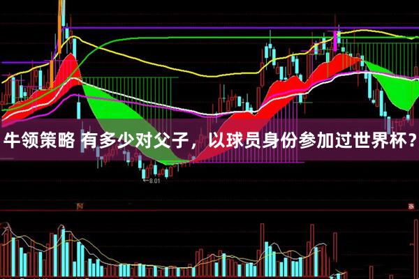 牛领策略 有多少对父子，以球员身份参加过世界杯？