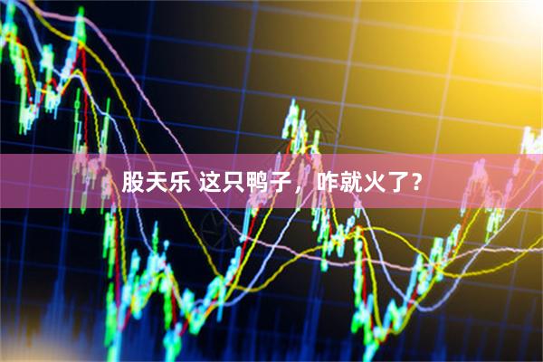 股天乐 这只鸭子，咋就火了？